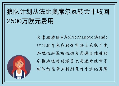 狼队计划从法比奥席尔瓦转会中收回2500万欧元费用